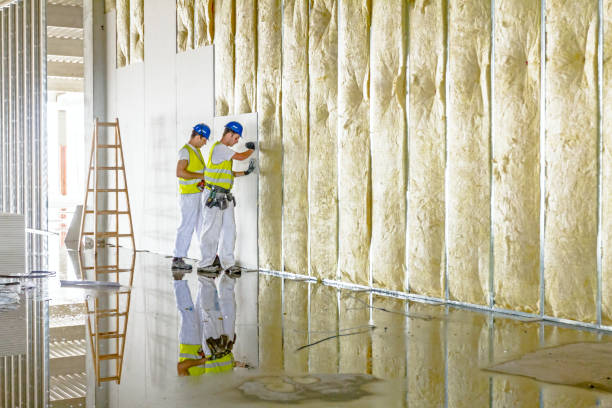 Best Insulation Maintenance and Repair in The Acreage, FL